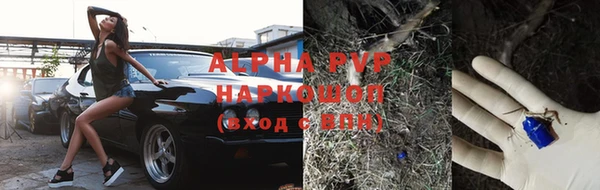 mdpv Горно-Алтайск