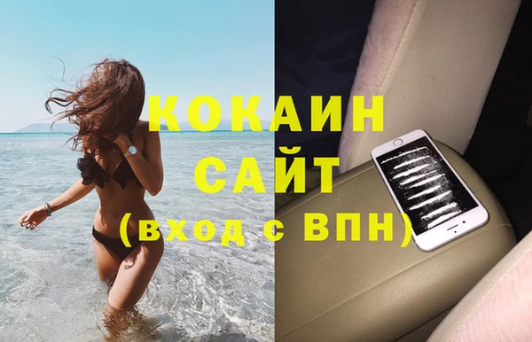 индика Осинники