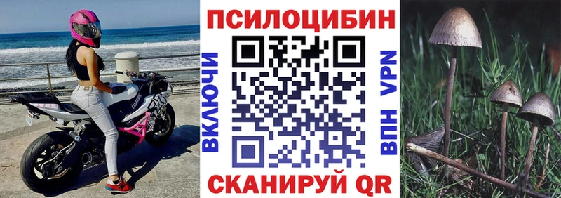 Галлюциногенные грибы Psilocybe  наркота  Заволжье 