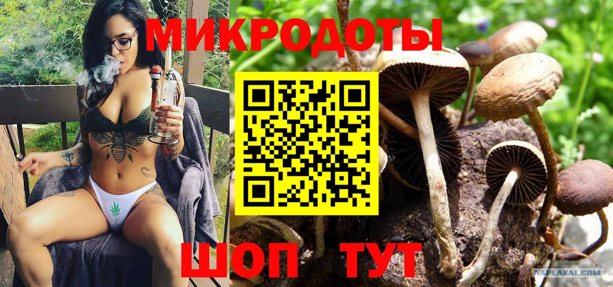 Галлюциногенные грибы мухоморы Заволжье