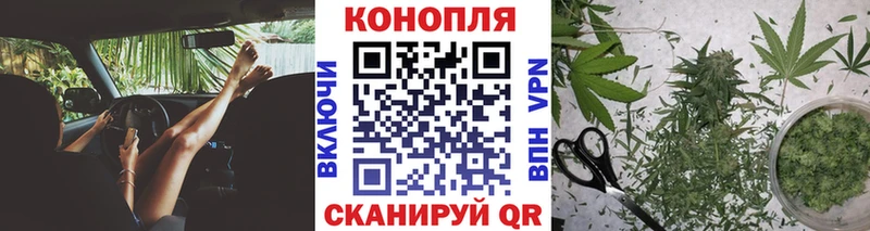 МАРИХУАНА конопля  Заволжье 